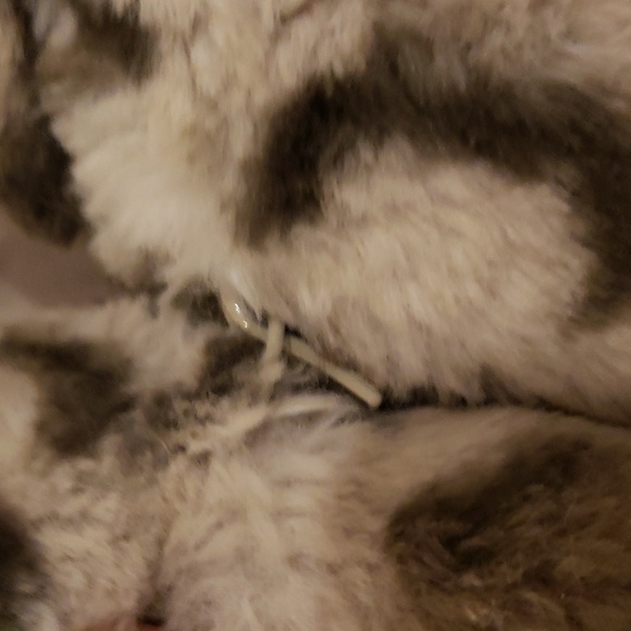 Dennis Basso Super Soft Reversible Faux Fur Water Resistant Jacket with hood 1X - Picture 4 of 10